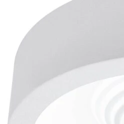 EGLO Plafonnier Leganes -Eglo 1000137561 181108 1618021728 GALLERYIMAGES P000000001000137561